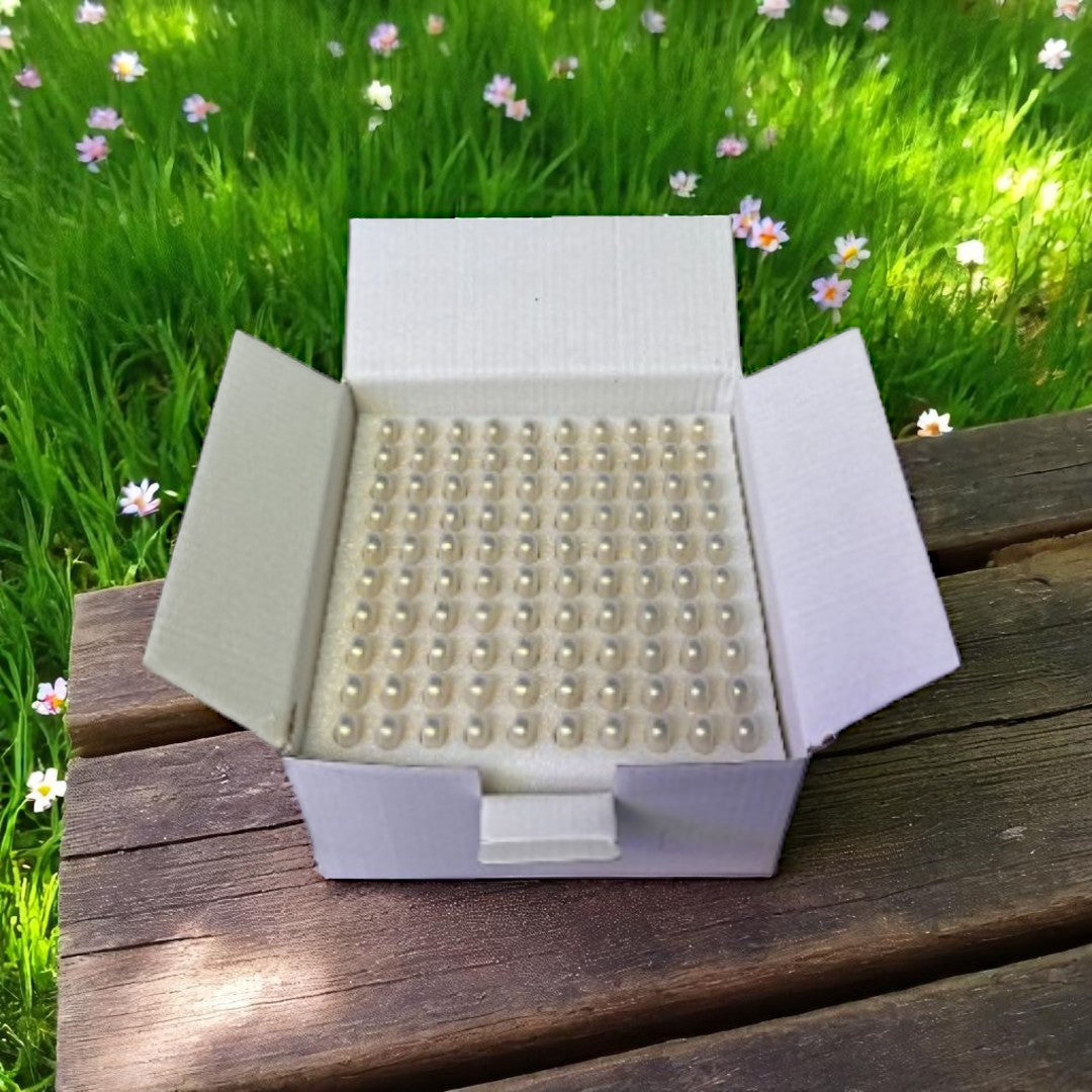 CARTON 1ML PUNTA DORADA