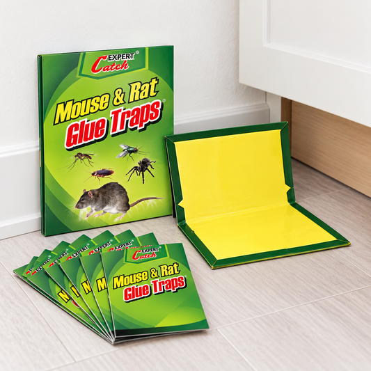 Trampa adhesiva Expert Catch en interior