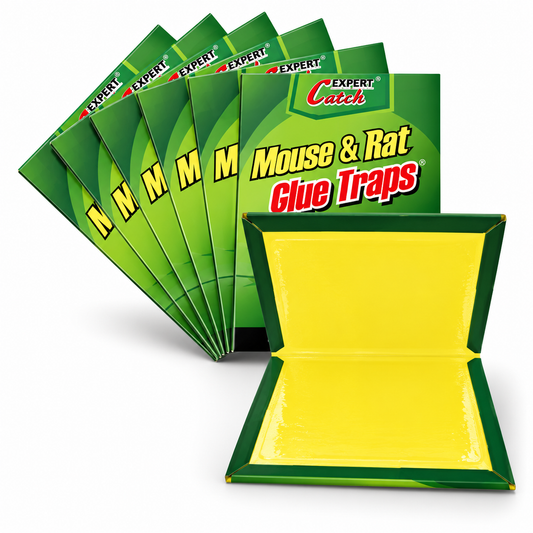 Trampa Expert Catch producto