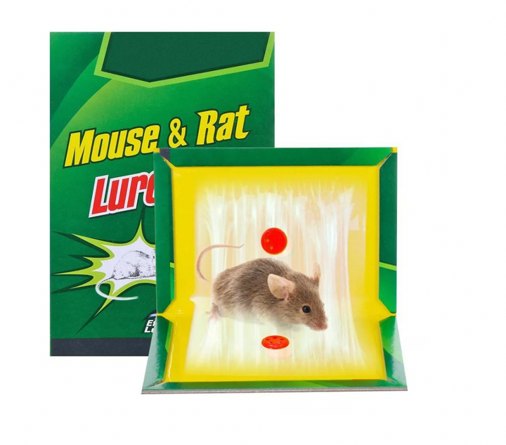 PEGA RATA CARTON PQ * 200 – Aleko.com.co