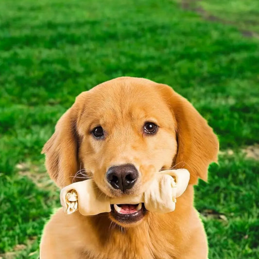 MASCOTA SET HUESOS MASTICABLE X2