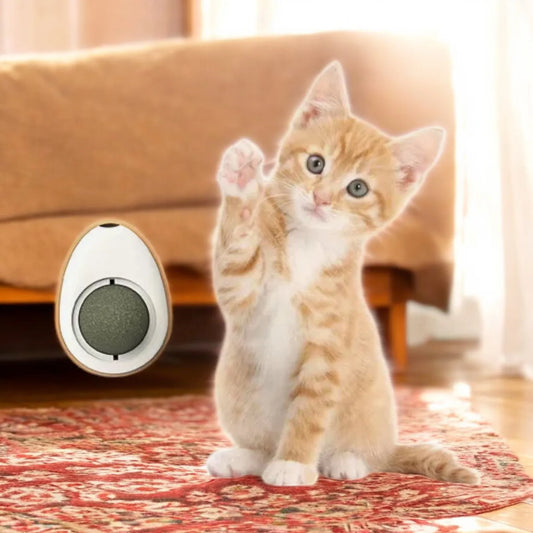MASCOTAS JUEGO PARA GATOS HIERBAS NATURAL