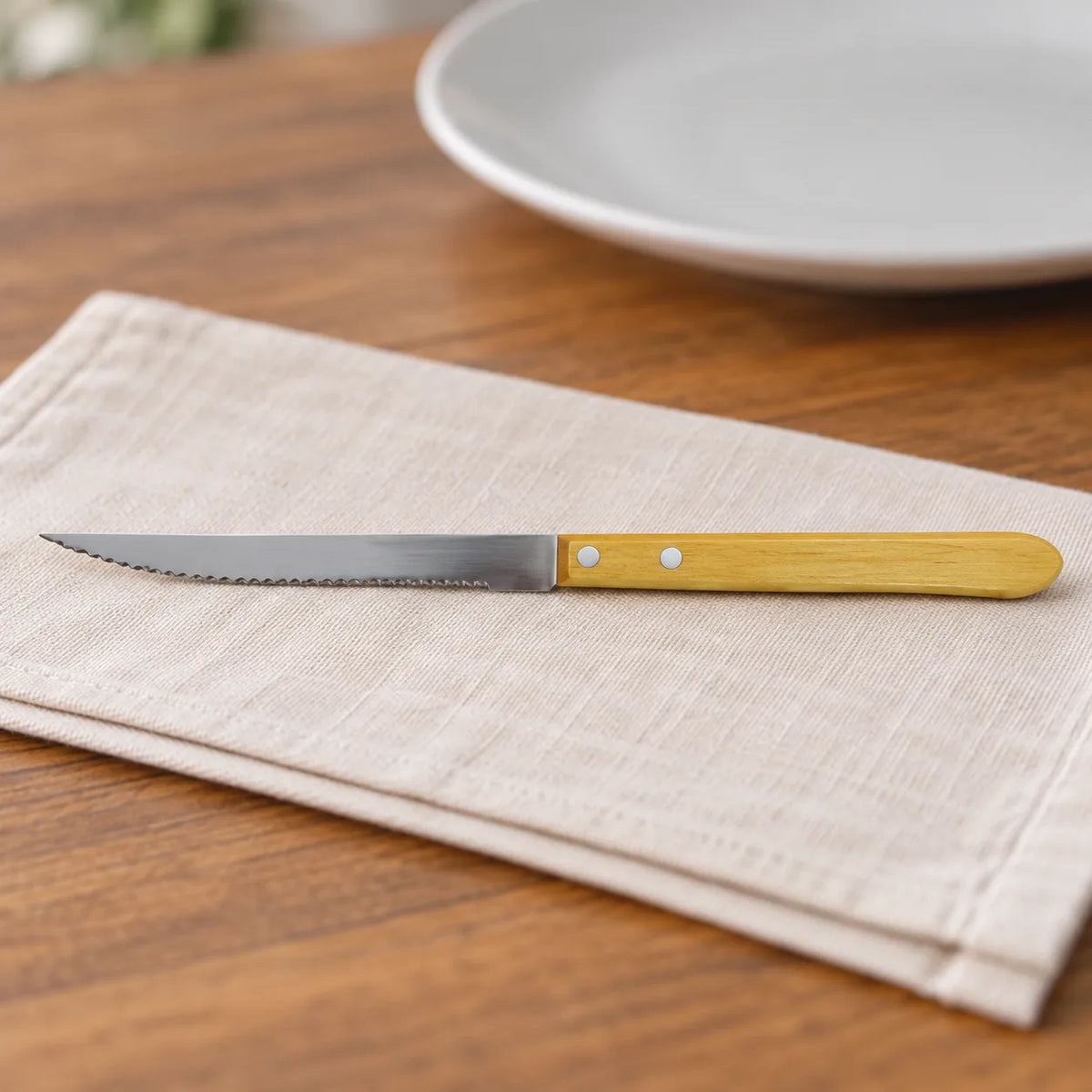 CUCHILLO VENEZIA — SKU 100-3 — imagen 4 — composición ilustrativa