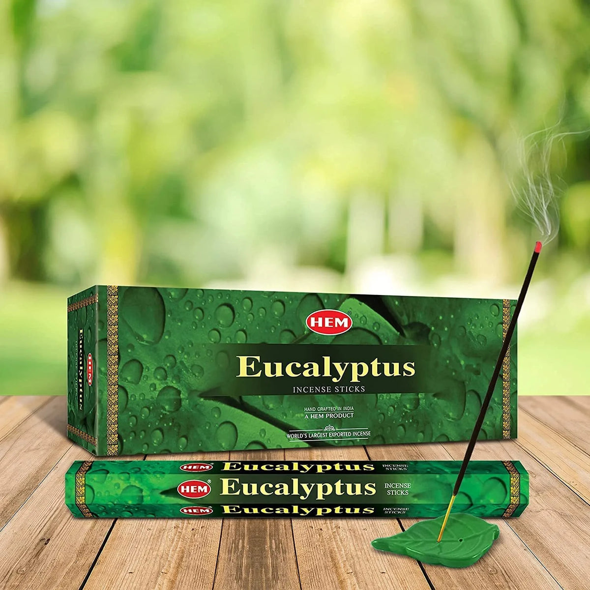 Caja exhibidora HEM Eucalyptus con tubo hexagonal individual y varita de incienso en soporte