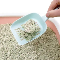 Pala azul recogiendo residuos de una bandeja con arena para gato