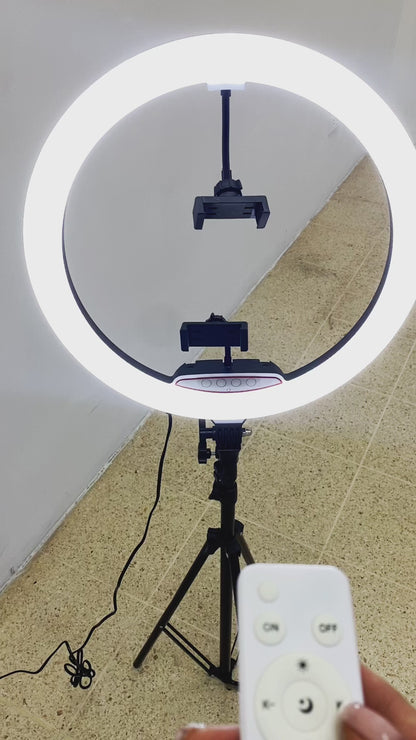 ARO DE LUZ