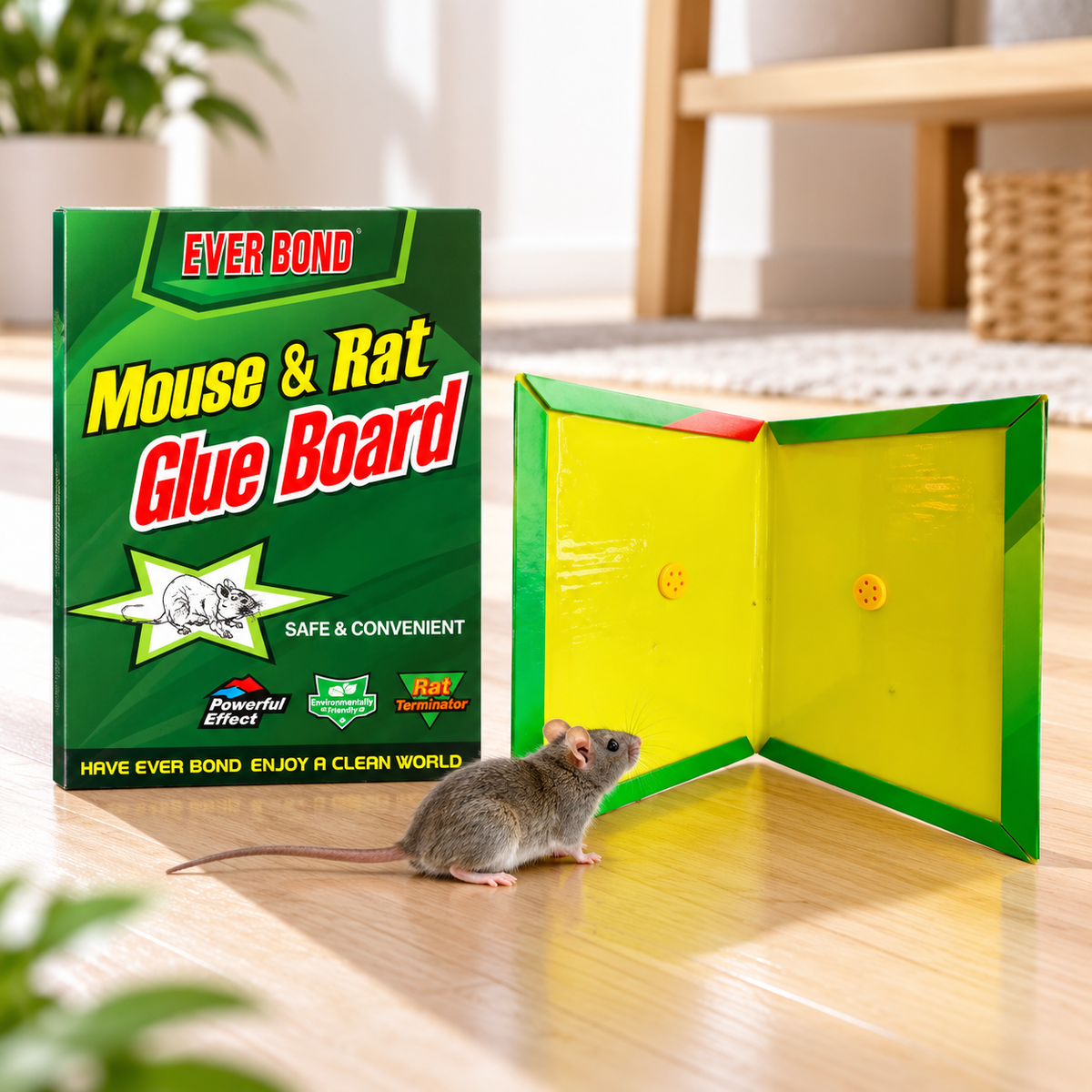 Trampa adhesiva para ratones TG-3 desplegada junto a su caja.